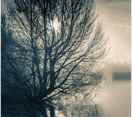 Evening, Thames at Orleans House 1985, Archival pigment print